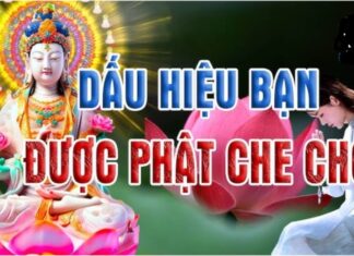 The Fortunate Few: Blessed by Divine Favor.