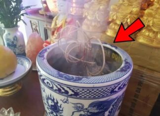 The Power of Ancestral Worship: Unveiling the Secrets of Ancestral Blessings and How to Preserve Them.