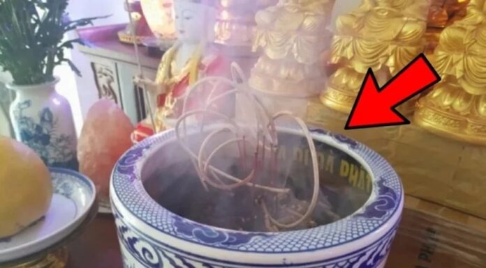 The Power of Ancestral Worship: Unveiling the Secrets of Ancestral Blessings and How to Preserve Them.