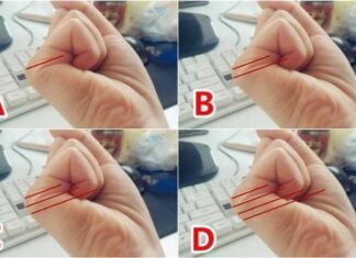 “The Palm Reader’s Prophecy: Unveiling Destiny Through the Lines of the Hand”