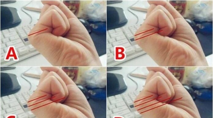 “The Palm Reader’s Prophecy: Unveiling Destiny Through the Lines of the Hand”