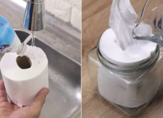 The Magic Potion for a Fresher Home: Transform Your Space with This Simple Hack