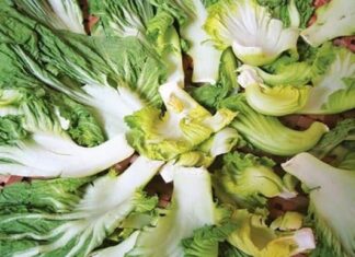 “The Perfect Pickle: Crispy, Golden, and Safe”