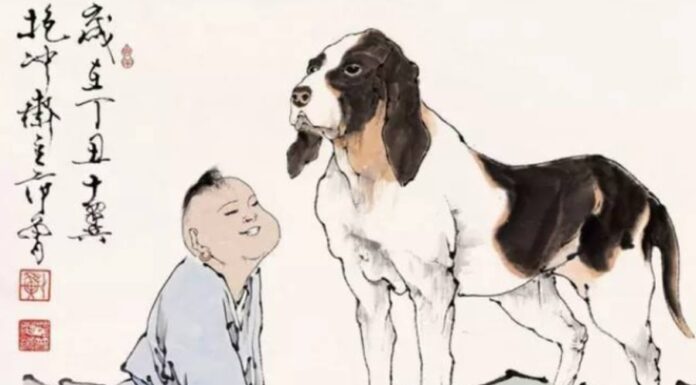 Why Do People Say “Don’t Call a Dog When You’re Full”?