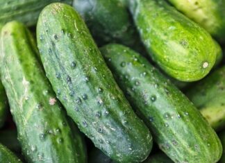 The Amazing Benefits of Cucumber Peel
