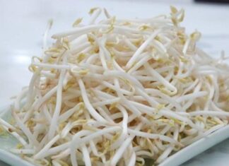 “Bean Sprouts: Beyond the Stir-Fry. A Simple, Affordable Superfood.”