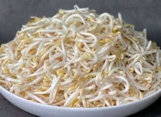 “The Ultimate Guide to Sprouting Beans at Home: Grow a Bountiful, Healthy Crop”