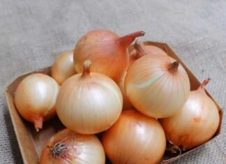 Is a Heavy or Light Onion Tastier? Tips for Choosing the Best Onion