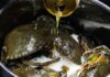 “The Great Crab Conundrum: To Flip or Not to Flip for Tender, Succulent Meat?”