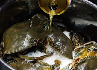 “The Great Crab Conundrum: To Flip or Not to Flip for Tender, Succulent Meat?”