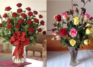 The Secret to Long-Lasting Rose Arrangements: A Week of Beauty Unveiled