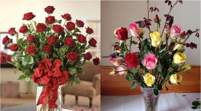 The Secret to Long-Lasting Rose Arrangements: A Week of Beauty Unveiled