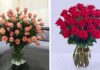 The Secret to Long-Lasting Rose Arrangements