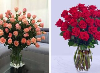The Secret to Long-Lasting Rose Arrangements
