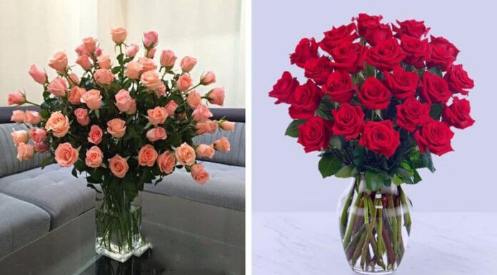 The Secret to Long-Lasting Rose Arrangements