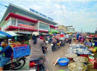 The Tastiest Treats from the Sea: A Guide to Phu Quoc’s Top 5 Bustling Seafood Markets