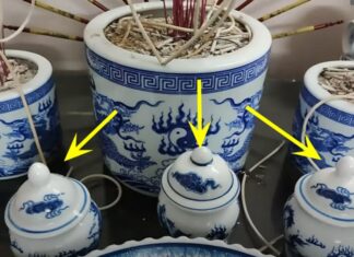 The Secret to Wealth: Unveiling the Ancient Practice of the Three Jars of Rice, Salt, and Water on the Ancestral Altar