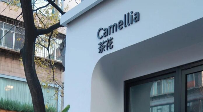 The Ultimate Guide to Red: 5 Timeless Color Combinations for a Stylish and Cozy Christmas Look