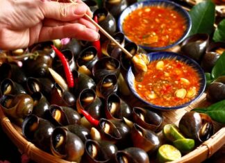“The Ultimate Guide to Cooking Tender, Crispy Snails: A Deliciously Crunchy and Satisfying Treat”