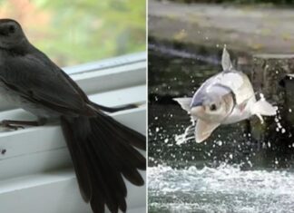 “Don’t Let Opportunities Slip Away: Seizing the Moment for Success”