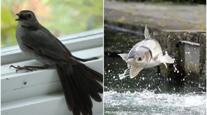 “Don’t Let Opportunities Slip Away: Seizing the Moment for Success”