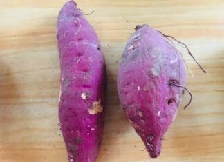 Is it Better to Choose ‘Fat’ or ‘Skinny’ Sweet Potatoes?