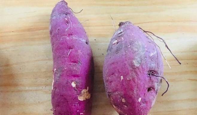 Is it Better to Choose ‘Fat’ or ‘Skinny’ Sweet Potatoes?
