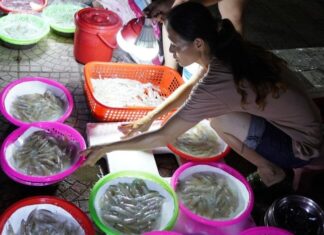The Ultimate Guide to the Unique Nghe An Delicacy Market: How a Quirky, Stall-less Wonder Attracts Crowds and Breaks Records