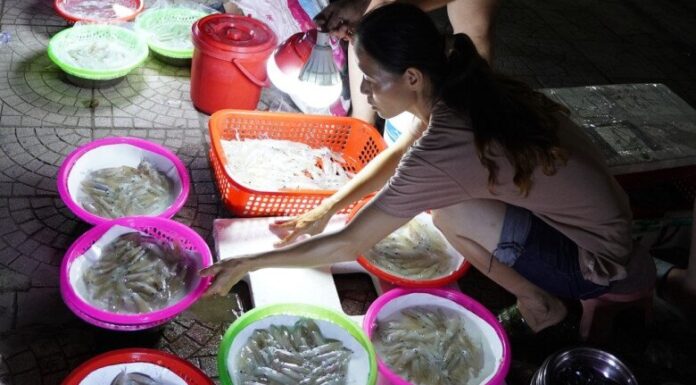 The Ultimate Guide to the Unique Nghe An Delicacy Market: How a Quirky, Stall-less Wonder Attracts Crowds and Breaks Records