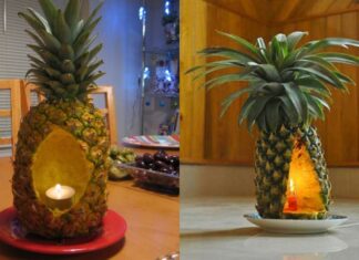 Why You Need a Bottle of Essential Oil in Your Bathroom: The Surprising Benefits Everyone Should Know