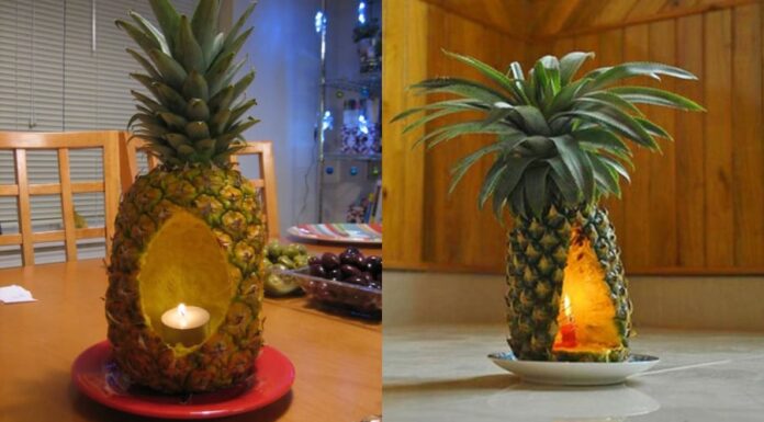 Why You Need a Bottle of Essential Oil in Your Bathroom: The Surprising Benefits Everyone Should Know