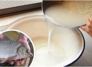 “The Ultimate Guide to Eliminating Fishy Odor: Transform Your Meals from Mediocre to Magnificent”