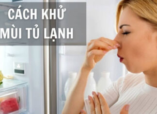 The Ultimate Guide to Odor Removal: Freshen Up Your Fridge in a Flash
