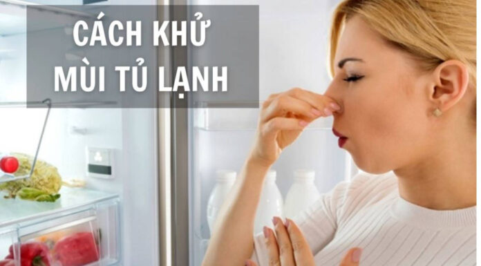 The Ultimate Guide to Odor Removal: Freshen Up Your Fridge in a Flash