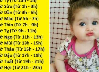 The Golden Hours: Nurturing Bright and Brilliant Minds, Regardless of Gender