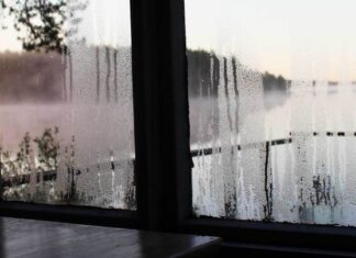 The Ultimate Guide to Dealing with Foggy Window Panes