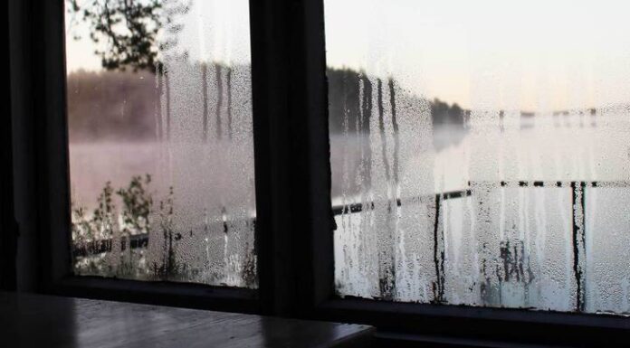 The Ultimate Guide to Dealing with Foggy Window Panes