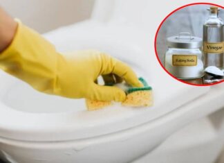 The Ultimate Guide to Restoring Your Yellowing Toilet Seat and Lid to Sparkling Clean