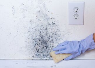 The Ultimate Guide: Black Mold Be Gone!
A swift solution to a pesky problem.