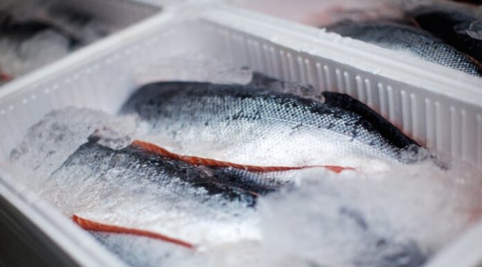 The Ultimate Guide to Keeping Fish Fresh for Days Without a Fridge