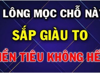 The Fortune 3: These Seats are Blessed with Luck, Prosperity Comes Even When Idle