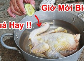 “The Ultimate Guide to Perfectly Poached Chicken: Upside Down or Right Side Up?”