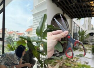 “Mom of Four” Van Trang Proudly Shows Off Her Lush Garden in Her 1,000-Square-Meter Villa but Fears One Thing