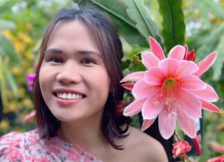 The Magic of Vietnamese Epiphyllum in an Australian Garden: A Mother’s Journey