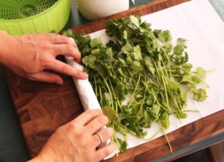 The Ultimate Guide to Keeping Your Veggies Fresh and Crisp: Easy Tips to Save Time and Money