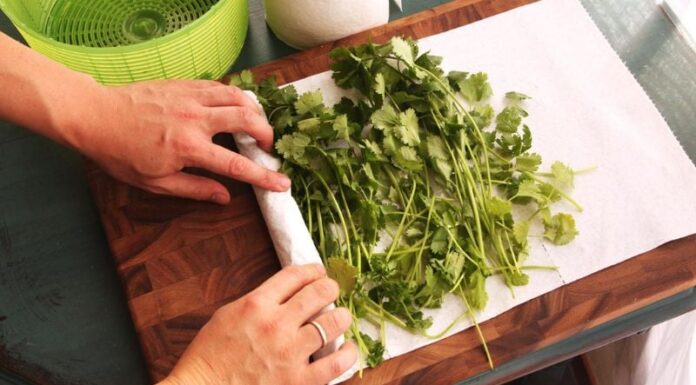 The Ultimate Guide to Keeping Your Veggies Fresh and Crisp: Easy Tips to Save Time and Money