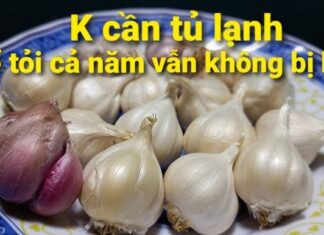 The Secret to Everlasting Garlic: A Simple Storage Solution