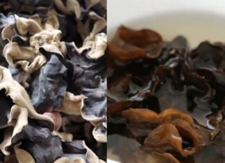 Why You Should Avoid Eating Raw Wood Ear Mushrooms: A Word of Caution for Home Cooks