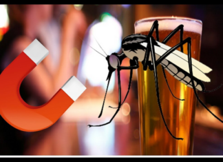 The Ultimate Mosquito Trap: A Beer Lover’s Guide to a Pest-Free Summer