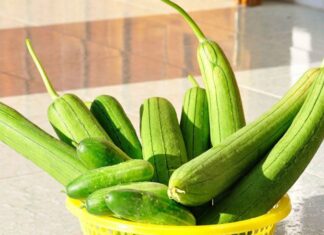 The Ultimate Guide to Preparing Delicious and Exotic Squash Noodle Stir-Fry: A 15-Minute Wonder
